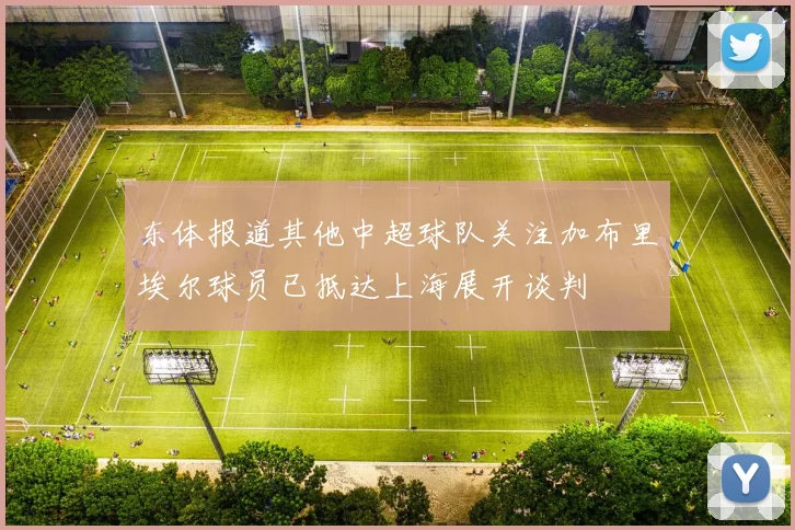 东体报道其他中超球队关注加布里埃尔球员已抵达上海展开谈判