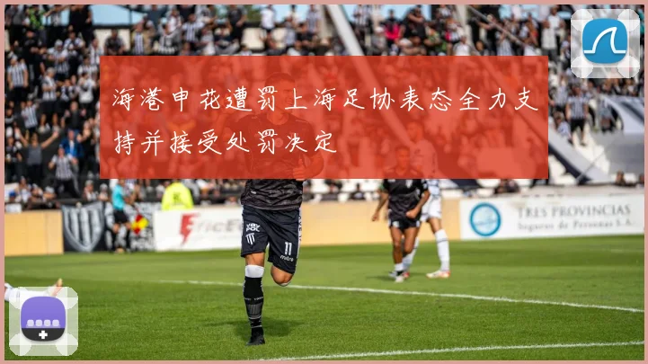 海港申花遭罚上海足协表态全力支持并接受处罚决定