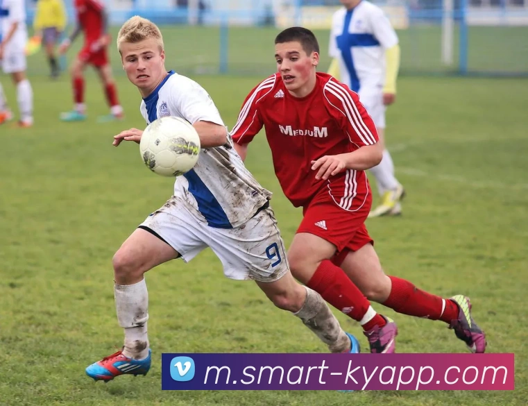 开云体育平台生态图