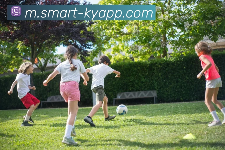 开云体育APP 封面图